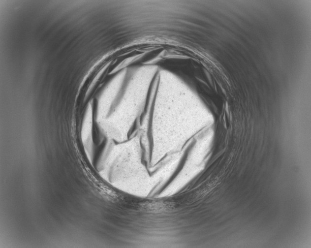 X0000054380896200508270004