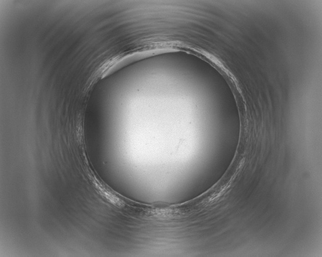 X0000054380897200508270004