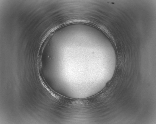 X0000054380898200508270004