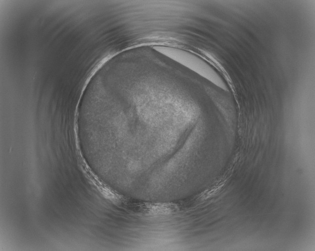 X0000054380899200508270004