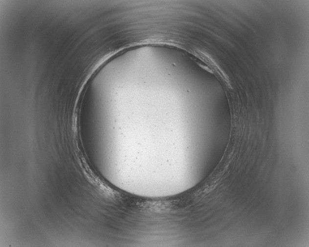 X0000054380900200508270004