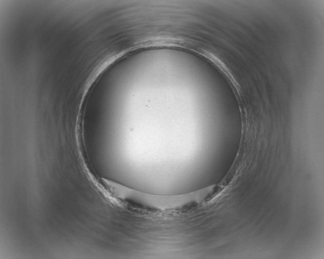 X0000054380901200508270004