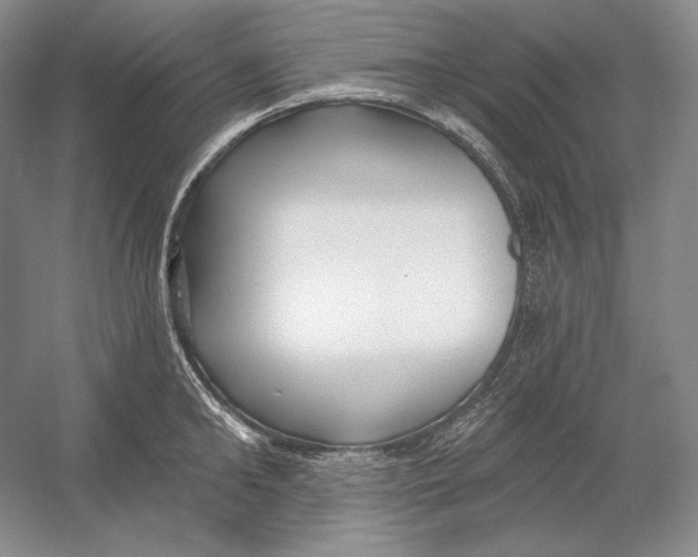 X0000054380902200508270004