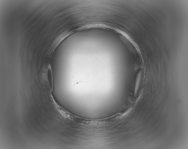 X0000054380905200508270004