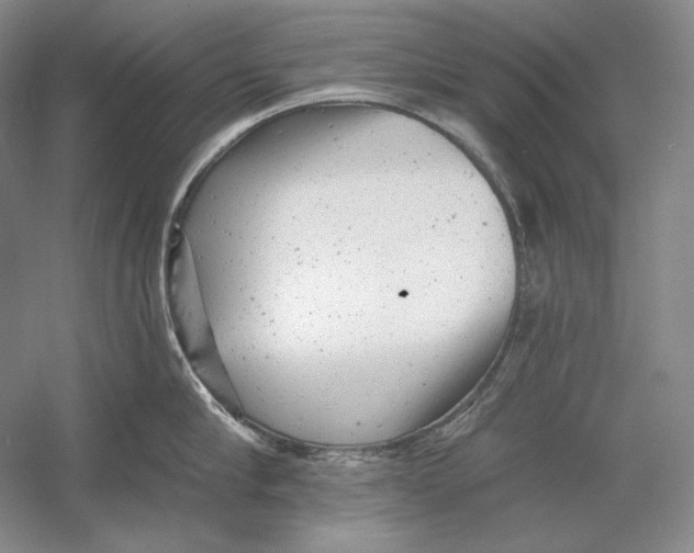 X0000054380910200508270004