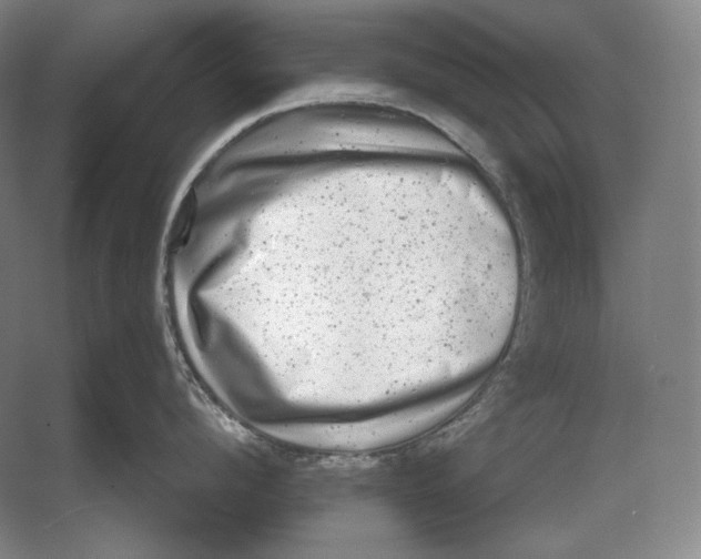 X0000054380912200508270004