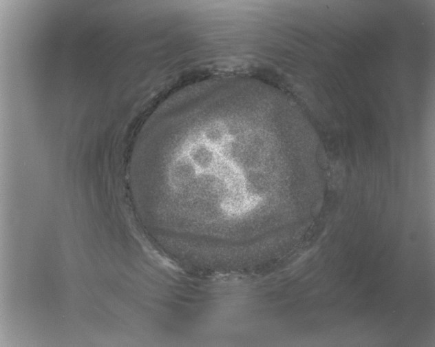 X0000054380913200508270003