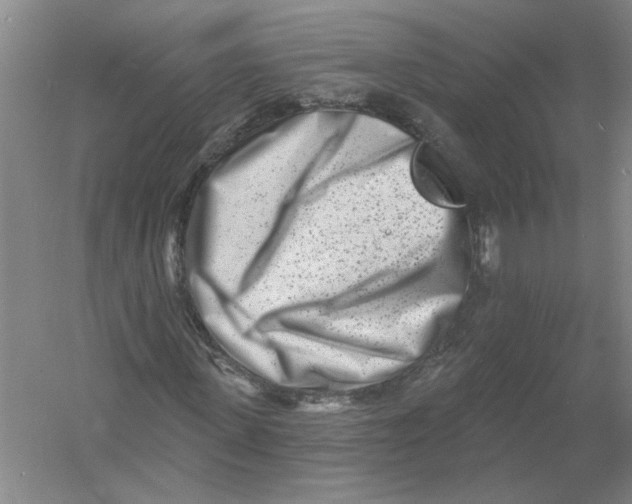 X0000054380915200508270003