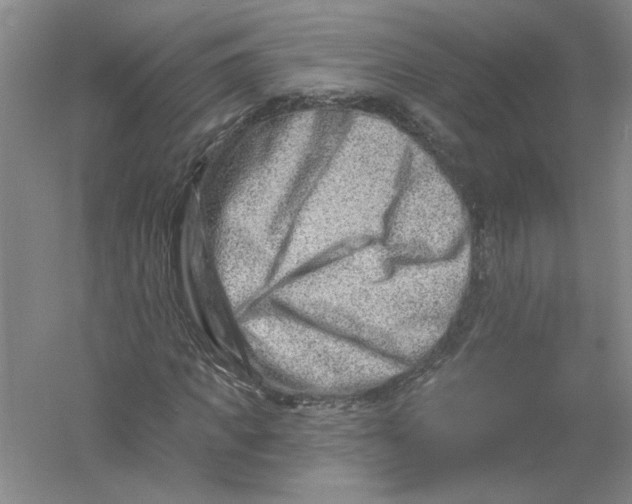 X0000054380917200508270003