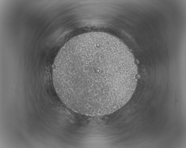 X0000054380918200508270003