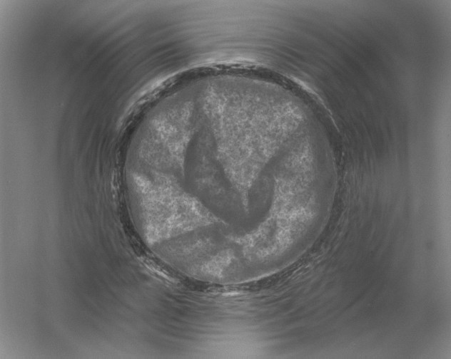 X0000054380920200508270003