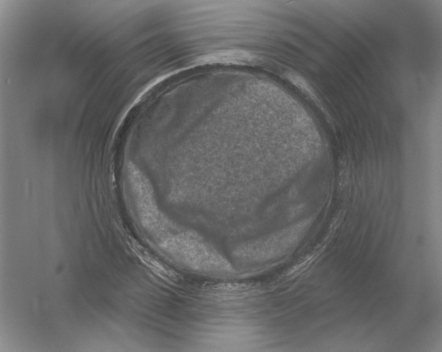 X0000054380923200508270003