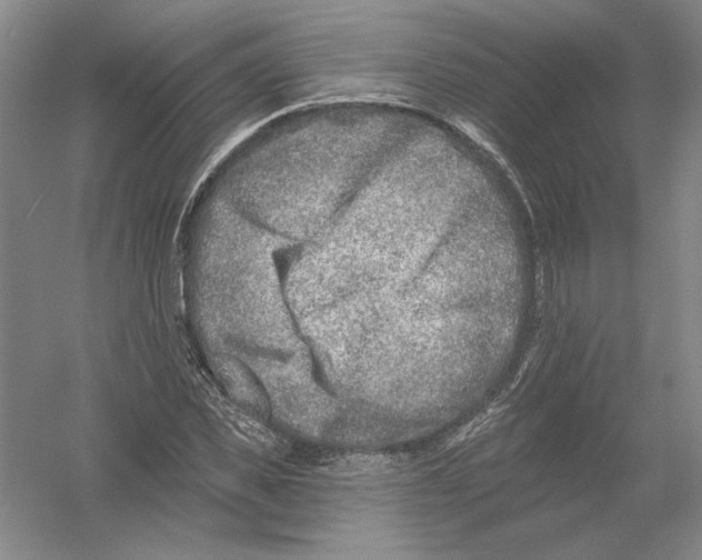 X0000054380925200508270003