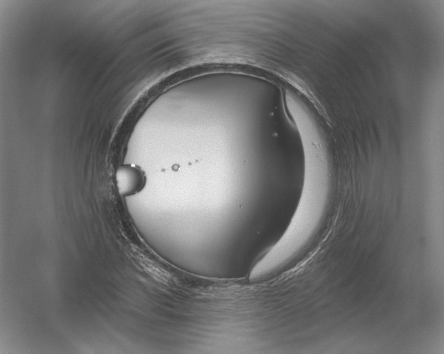 X0000054380926200508270003