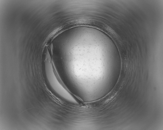 X0000054380930200508270003