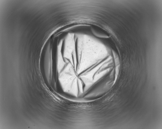 X0000054380932200508270003