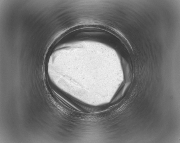 X0000054380935200508270004