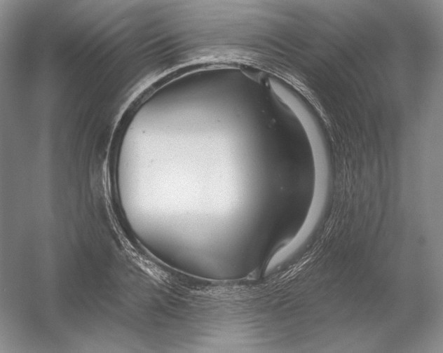 X0000054380936200508270004