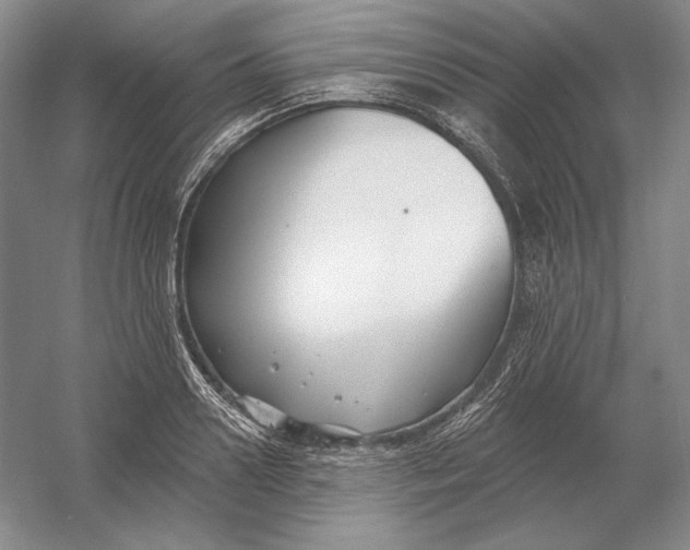 X0000054380938200508270004