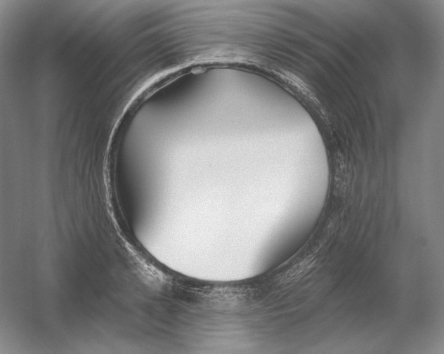 X0000054380942200508270004