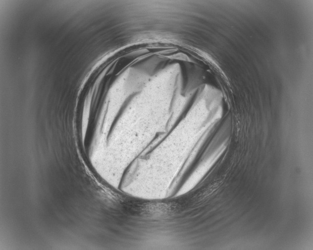 X0000054380943200508270004