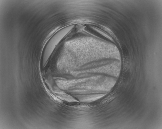 X0000054380946200508270004