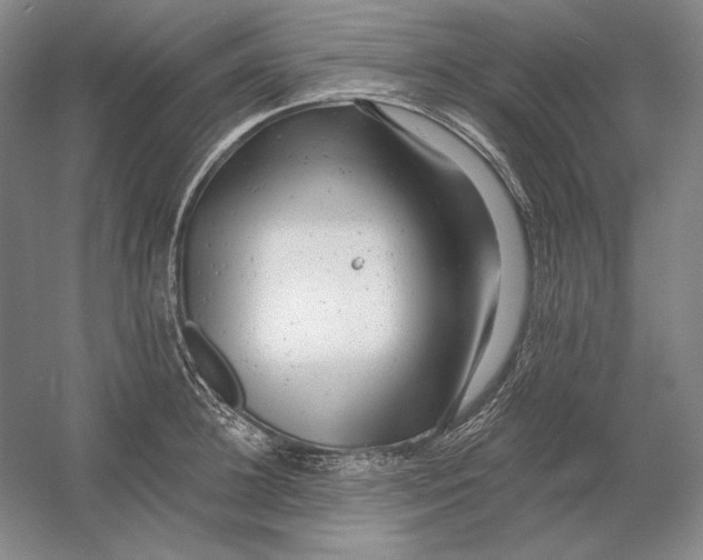 X0000054380948200508270004