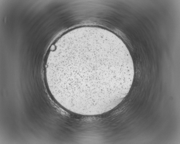 X0000054380950200508270004