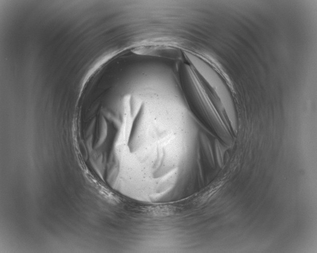 X0000054380952200508270004