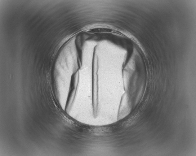 X0000054380953200508270004