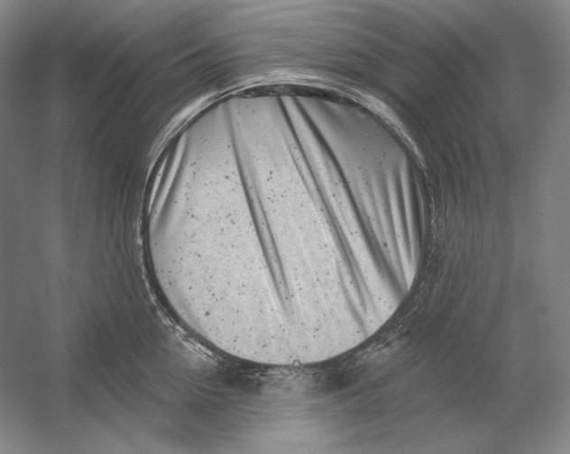 X0000054380954200508270004