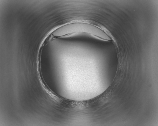 X0000054380955200508270004