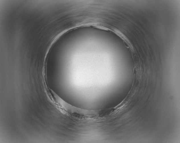 X0000054380956200508270004