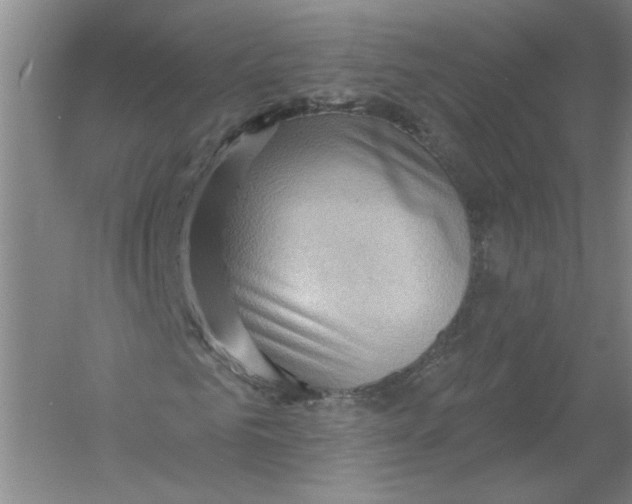 X0000054380961200508270003