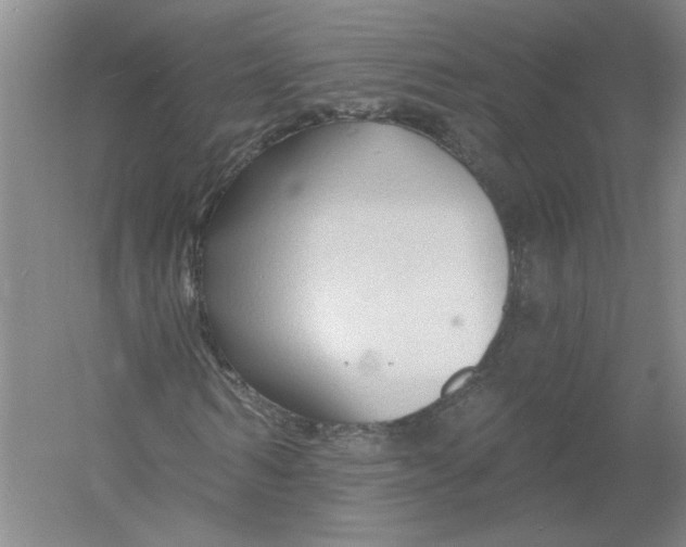 X0000054380962200508270003