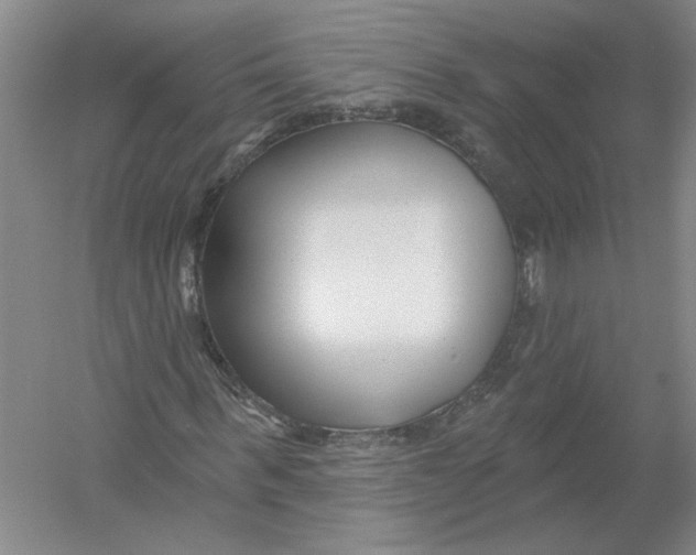 X0000054380963200508270003