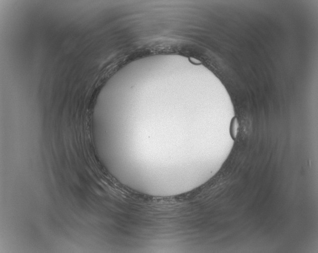 X0000054380964200508270003