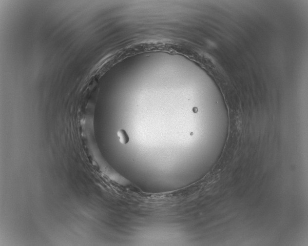 X0000054380968200508270003