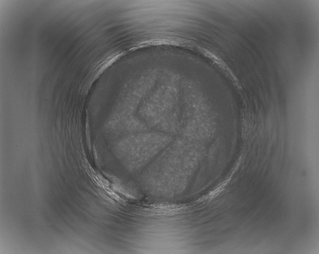 X0000054380977200508270003