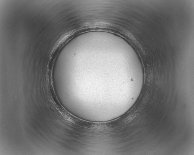 X0000054380978200508270003