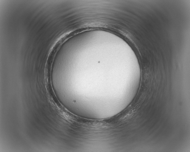 X0000054380979200508270003