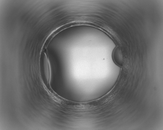 X0000054380980200508270003