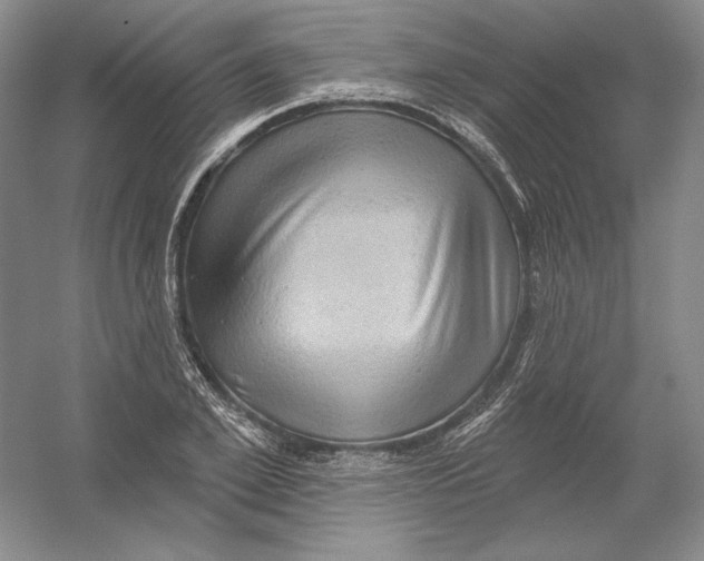 X0000054380981200508270003