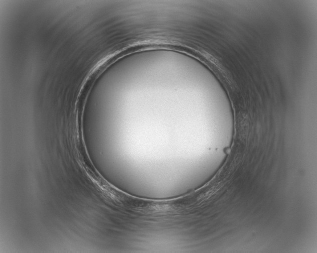 X0000054380982200508270003