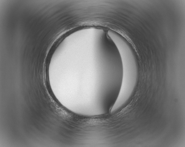 X0000054380984200508270003