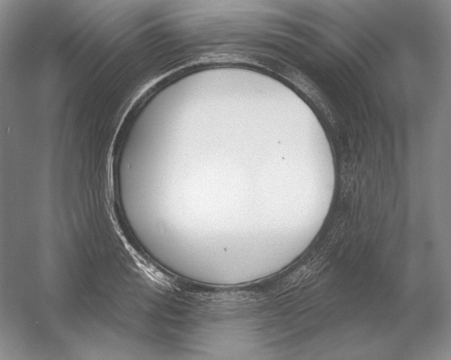 X0000054380988200508270003