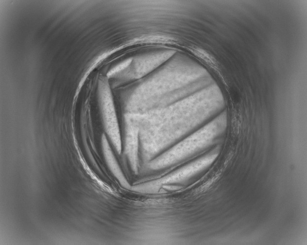 X0000054380989200508270003