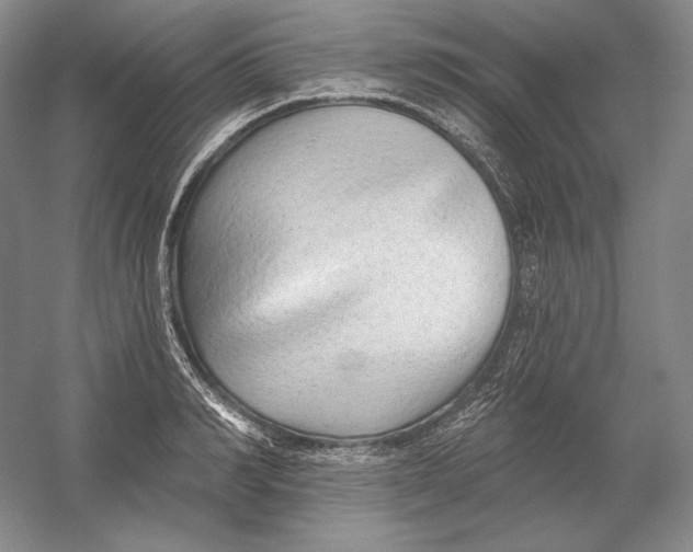 X0000054380990200508270003