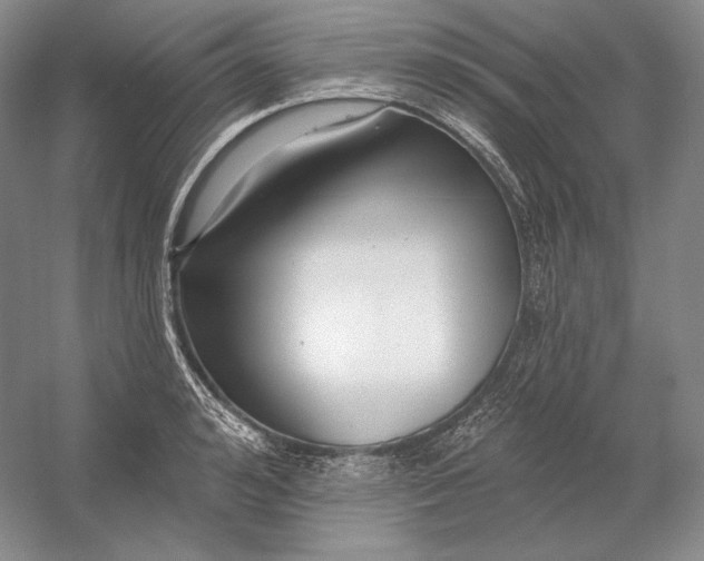 X0000054380992200508270003