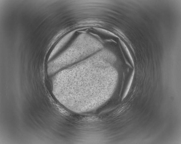 X0000054380994200508270003